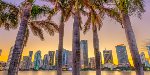 Florida é o estado número 1 em força econômica | O que isso significa para investidores do visto E2